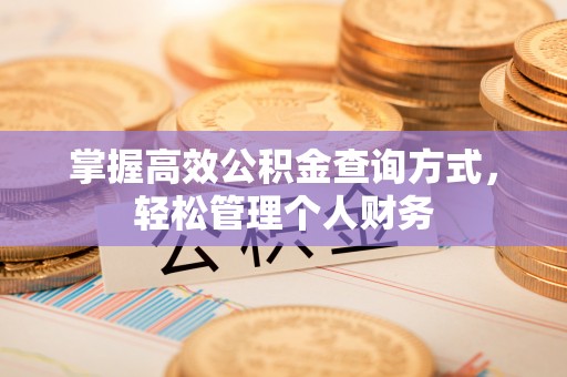 芙蓉掌握高效公积金查询方式，轻松管理个人财务