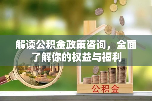 芙蓉解读公积金政策咨询，全面了解你的权益与福利
