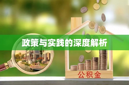 芙蓉政策与实践的深度解析