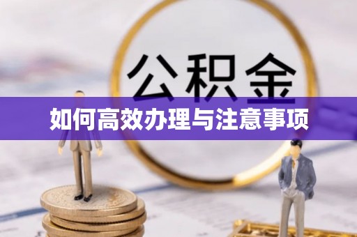 芙蓉如何高效办理与注意事项