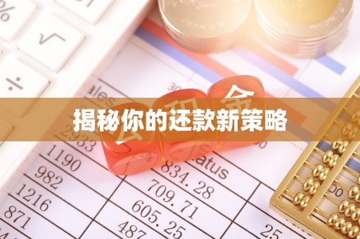 芙蓉揭秘你的还款新策略