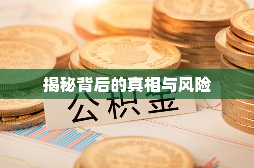 芙蓉揭秘背后的真相与风险