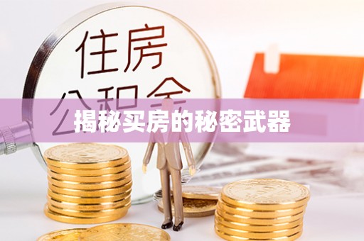 芙蓉揭秘买房的秘密武器