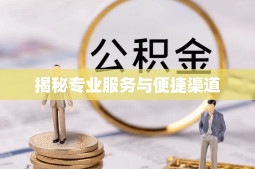 芙蓉揭秘专业服务与便捷渠道