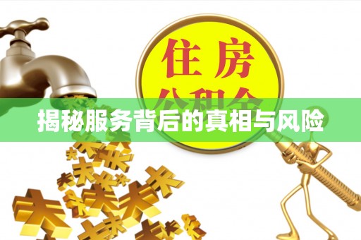 芙蓉揭秘服务背后的真相与风险