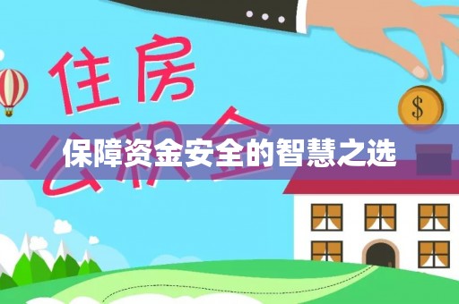 芙蓉保障资金安全的智慧之选
