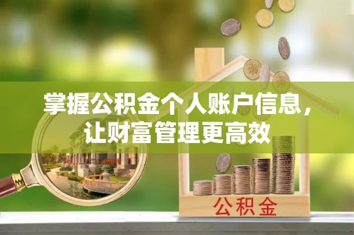 芙蓉掌握公积金个人账户信息，让财富管理更高效