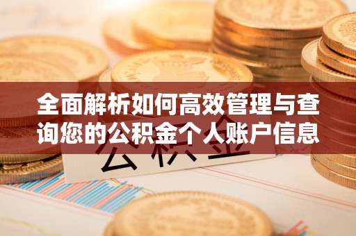 芙蓉全面解析如何高效管理与查询您的公积金个人账户信息