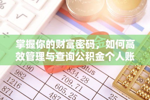 芙蓉掌握你的财富密码，如何高效管理与查询公积金个人账户信息