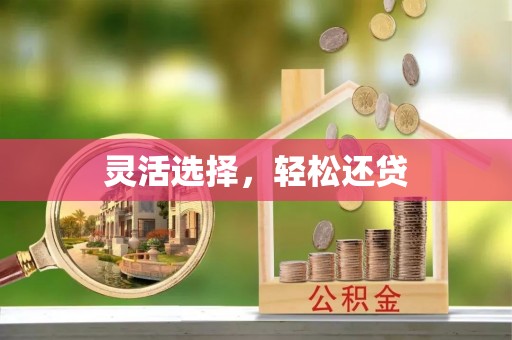 芙蓉灵活选择，轻松还贷
