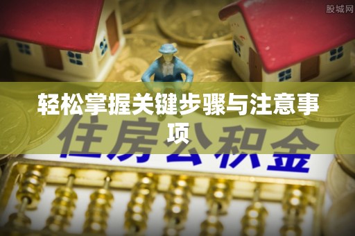 芙蓉轻松掌握关键步骤与注意事项