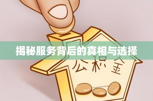 芙蓉揭秘服务背后的真相与选择
