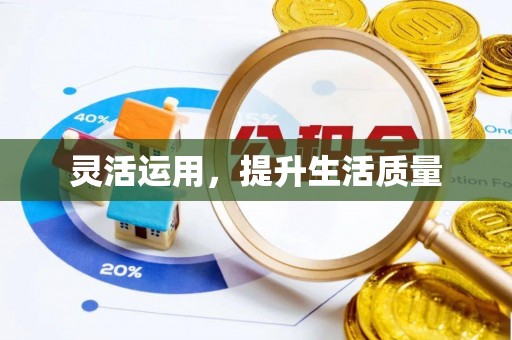 芙蓉灵活运用，提升生活质量