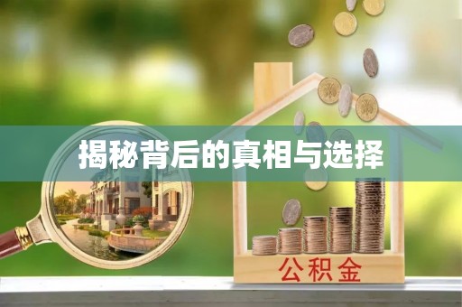 芙蓉揭秘背后的真相与选择