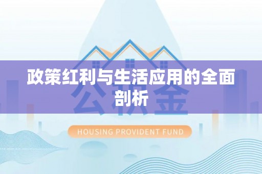 芙蓉政策红利与生活应用的全面剖析