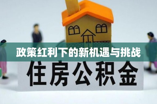 芙蓉政策红利下的新机遇与挑战