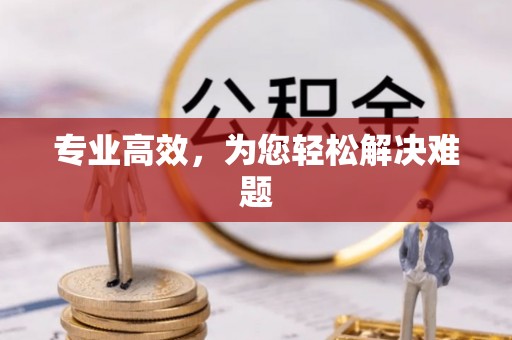 芙蓉专业高效，为您轻松解决难题