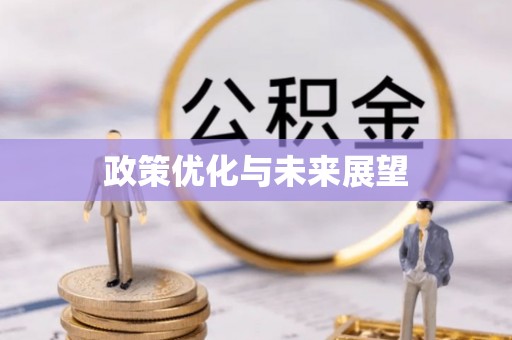 芙蓉政策优化与未来展望