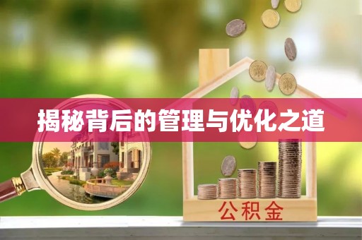 芙蓉揭秘背后的管理与优化之道