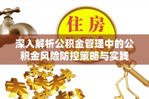 芙蓉深入解析公积金管理中的公积金风险防控策略与实践
