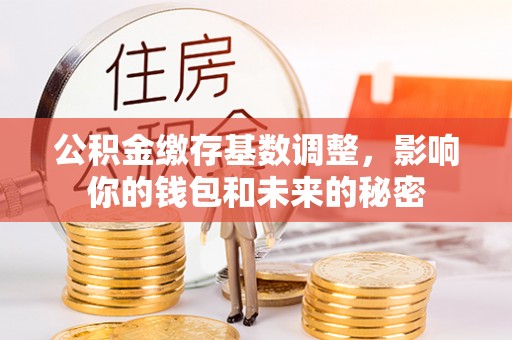 芙蓉公积金缴存基数调整，影响你的钱包和未来的秘密
