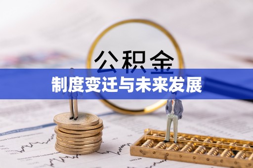 芙蓉制度变迁与未来发展