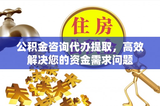 芙蓉公积金咨询代办提取，高效解决您的资金需求问题