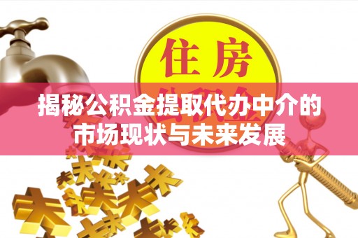 芙蓉揭秘公积金提取代办中介的市场现状与未来发展