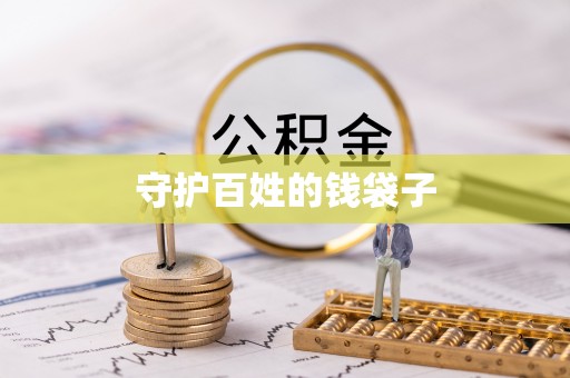 芙蓉守护百姓的钱袋子