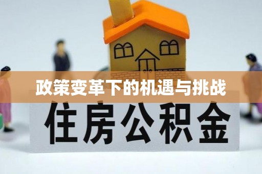 芙蓉政策变革下的机遇与挑战