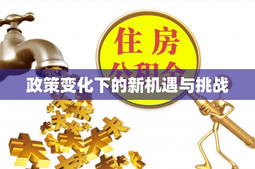 芙蓉政策变化下的新机遇与挑战