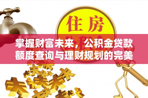 芙蓉掌握财富未来，公积金贷款额度查询与理财规划的完美结合