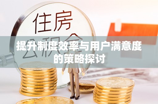 芙蓉提升制度效率与用户满意度的策略探讨